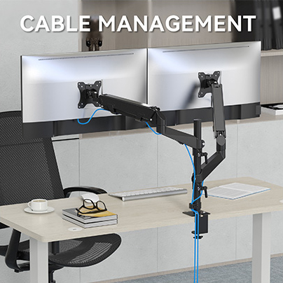 Rosewill Dual Monitor Mount