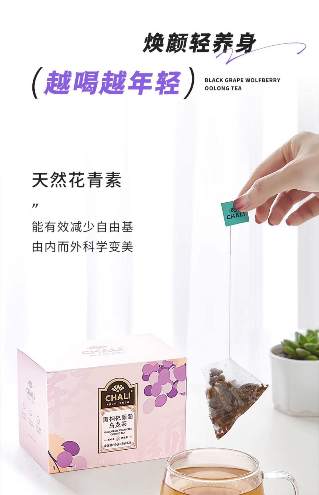 【中国直邮】 CHALI茶里 肖战推荐 黑枸杞葡萄乌龙茶 12袋装/盒
