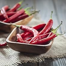 capsicum