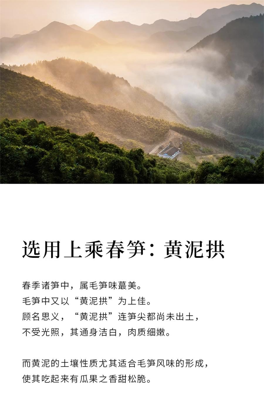 【中國直郵】 南食召 南式油燜筍 春筍上品黃泥拱·脆嫩肥甘 寧波奉化油燜筍270g/瓶