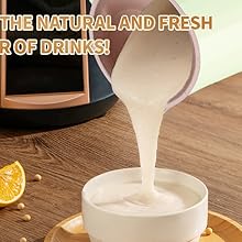 Soy Milk Maker Machine with Delay Start
