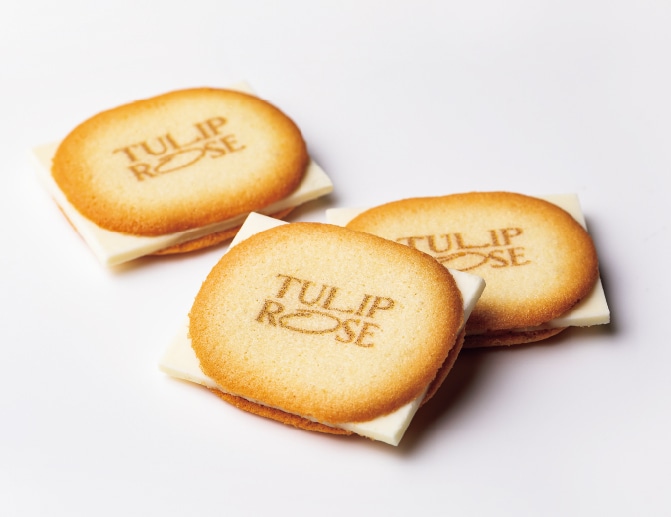 〈チューリップローズ〉の魅力が楽しめる