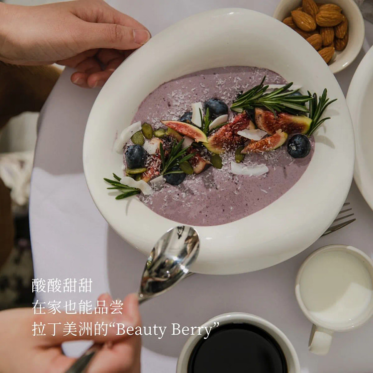 Soileta凍結乾燥アサイーパウダー100g 100 グラム