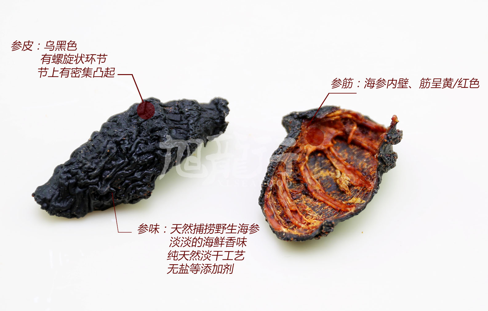 乌参