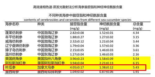 加拿大叶瓜参