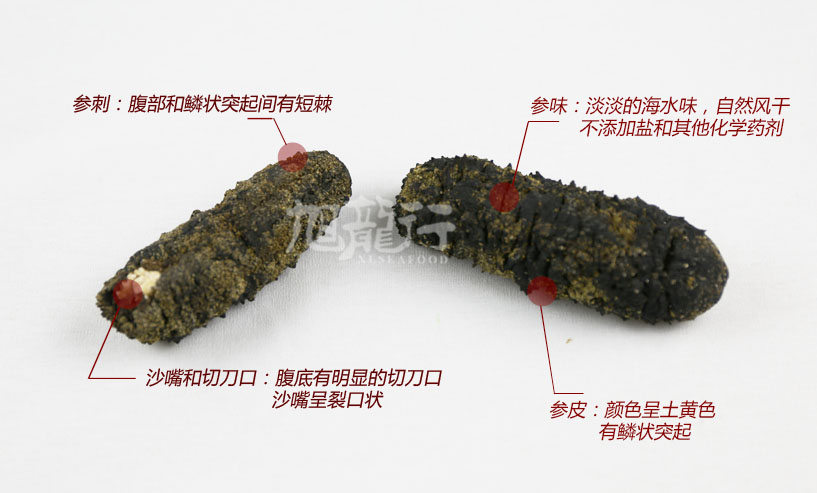旭龍行南美智利荔枝參