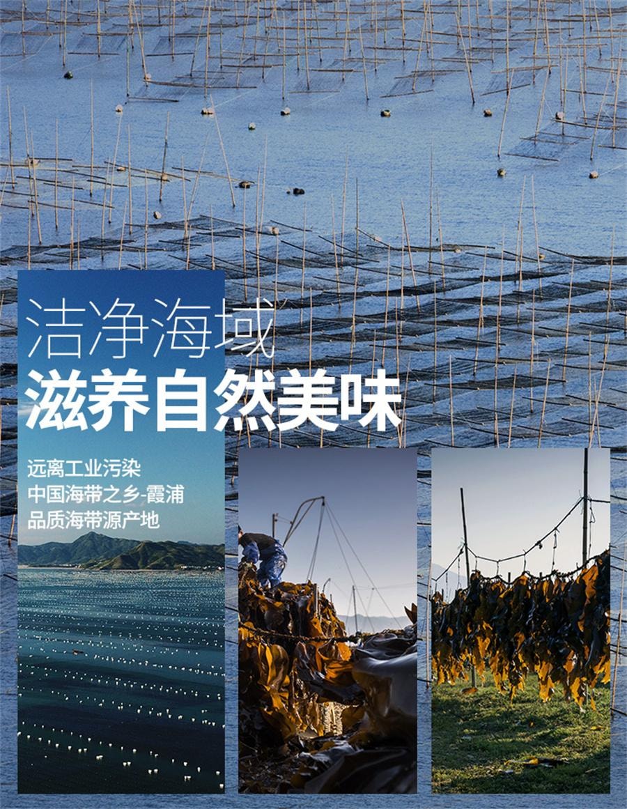 【中國直郵】 金海林 壓縮海帶絲 嫩霞浦特產烘乾商用免洗泡發涼拌火鍋專用16克*10包