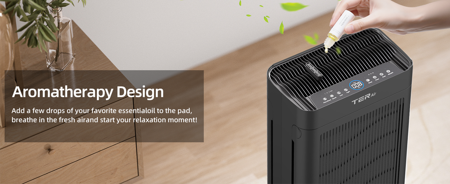 Air Purifiers for Home Large Room
