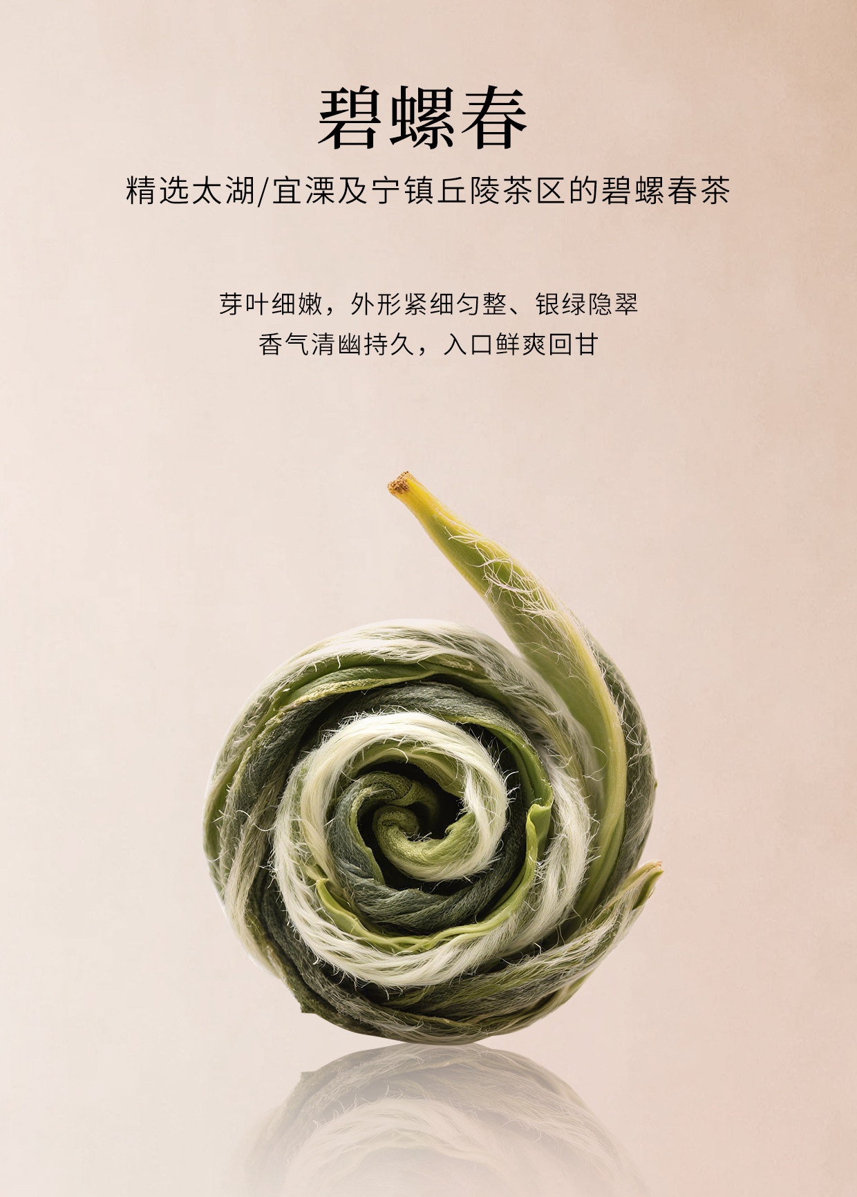 霸王茶姬 伯牙绝弦 茉莉花茶原叶袋泡茶 8包入 24g   新品随行装【清雅花香 鲜爽茶韵】