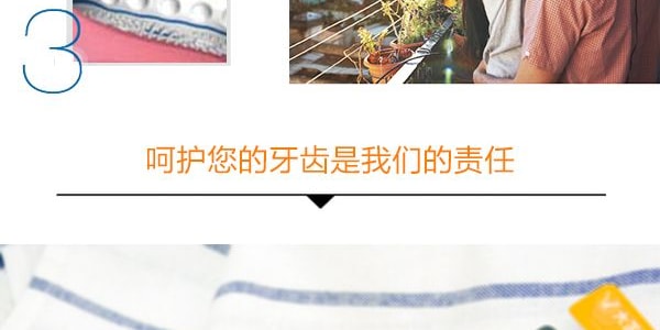 日本大正製藥 齒科醫生設計成人山形牙刷 單支入 顏色隨機發