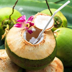 ow to use our coconut opener tool?