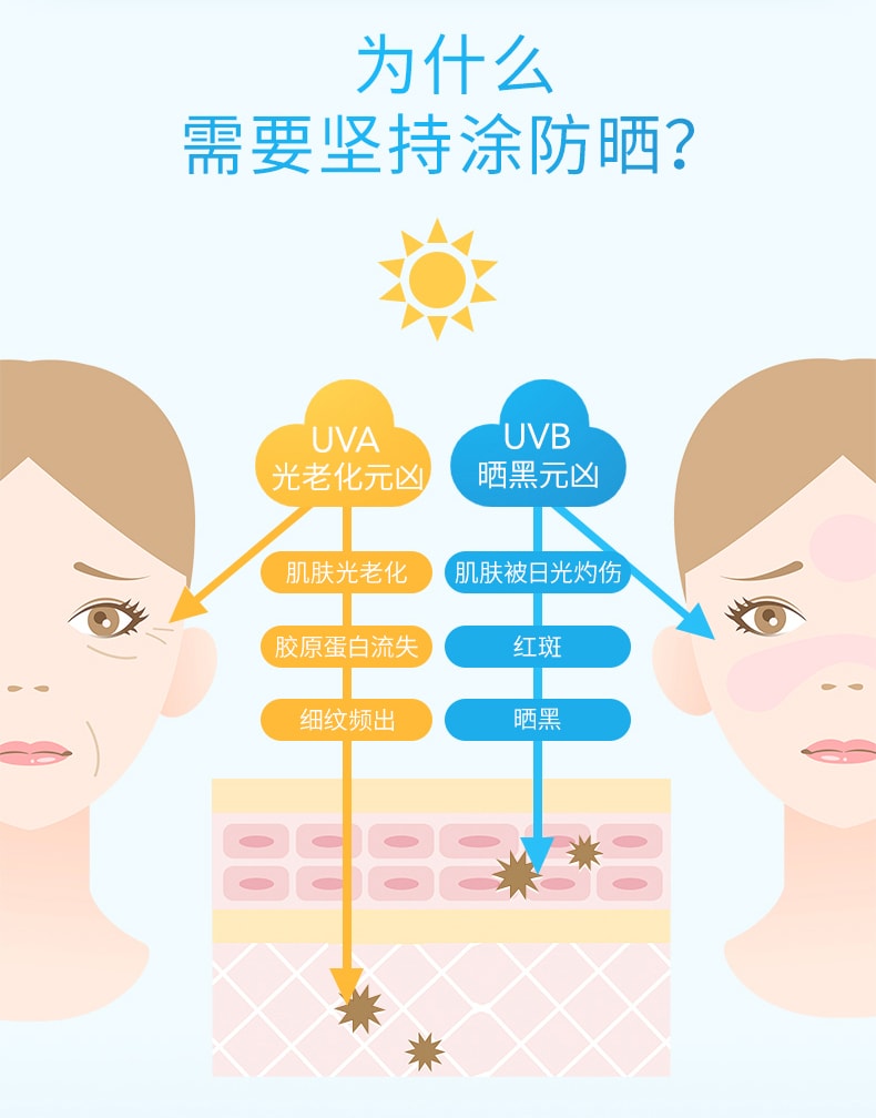 [2024 升級新版] 日本SHISEIDO資生堂 ANESSA安耐曬 UV護膚乳防曬霜 小金瓶 60ml 2/21發售