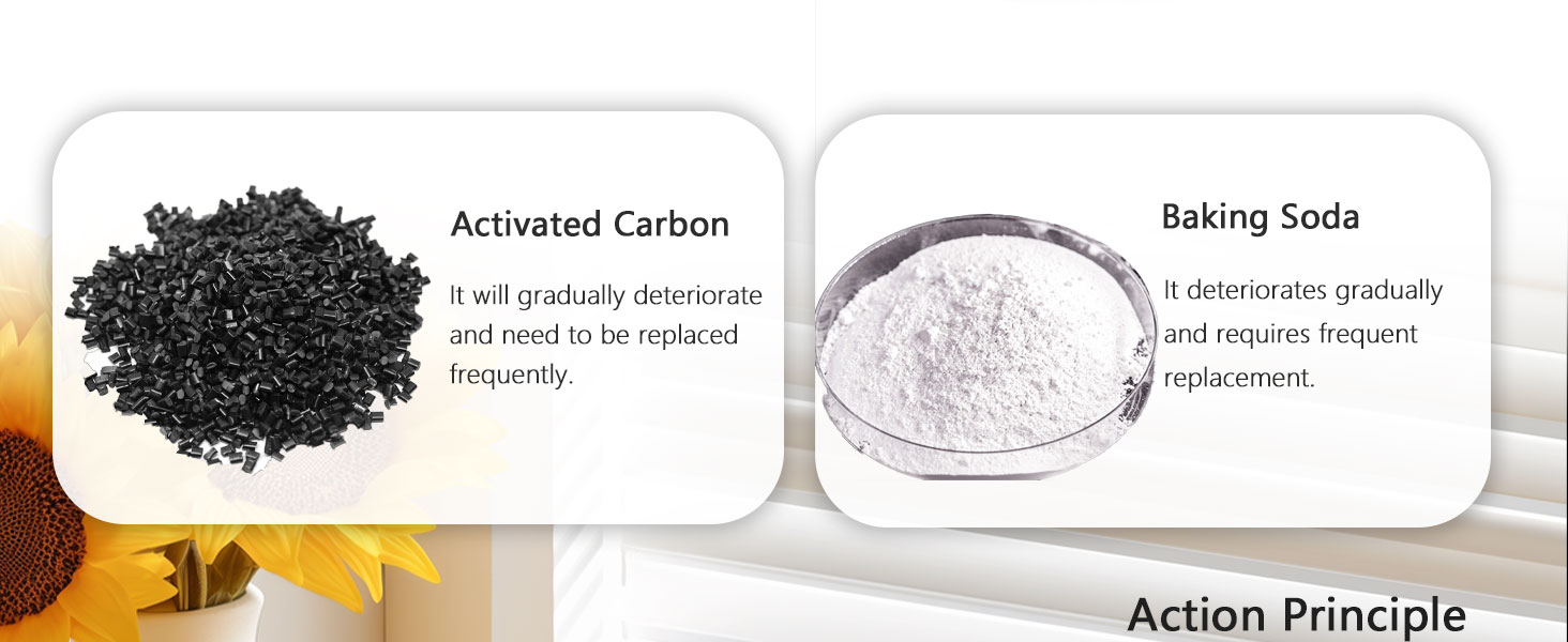 refrigerator deodorizer