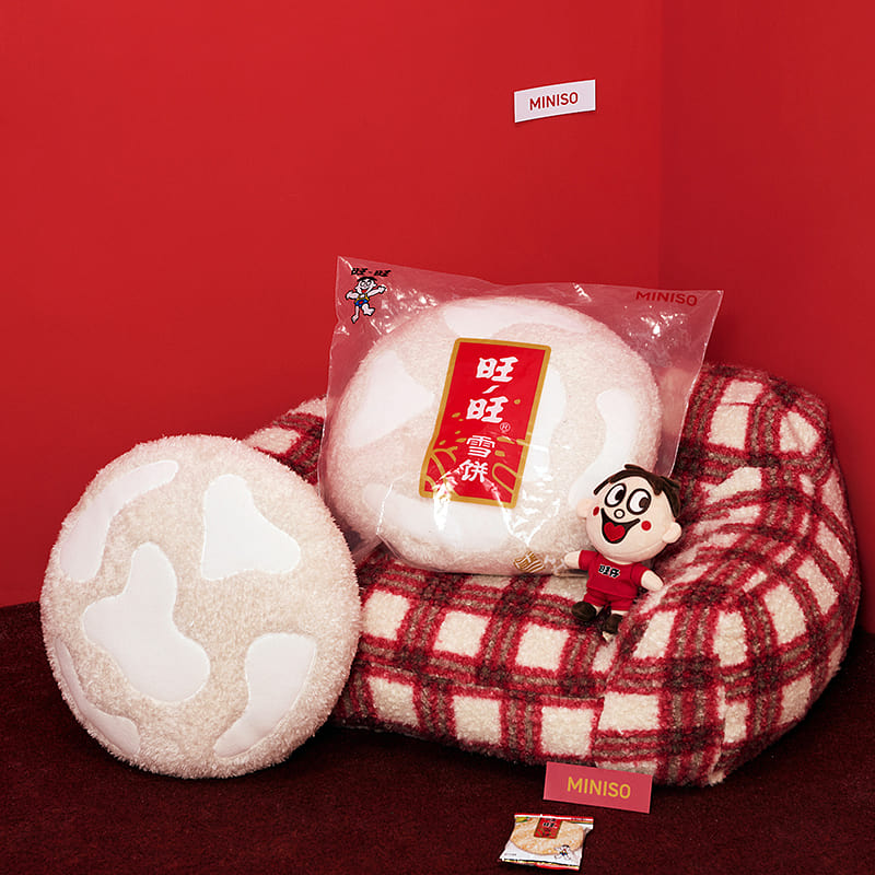 Wangzai Hug Pillow: Snowy Cracker Design 1 case