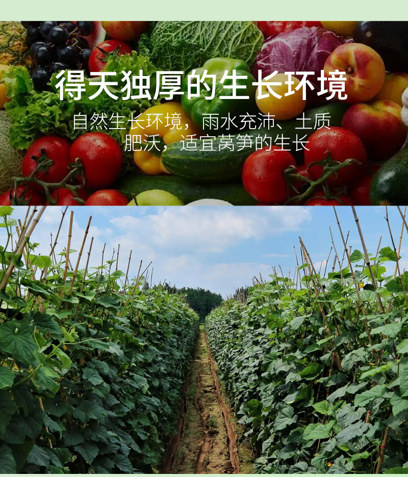 【中国直邮】 粒仔记 农家自制混合蔬菜干250g 特级土特产