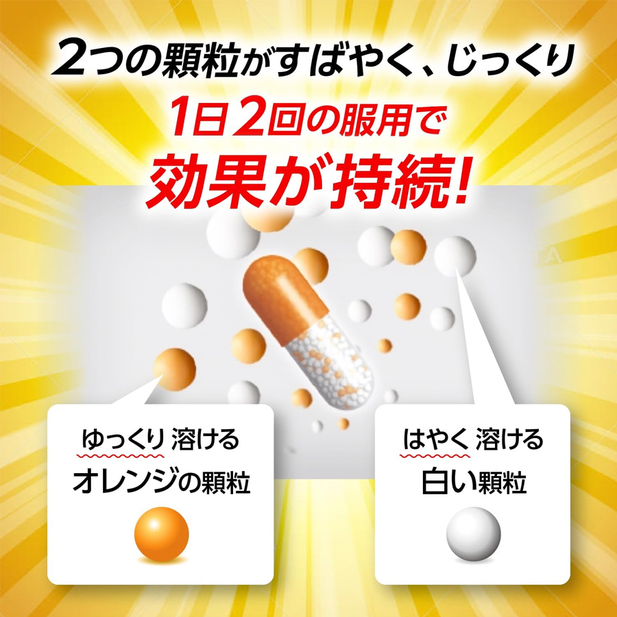 【日本直邮】 日本 TAISHO PHARMACEUTICAL CO 大正制药 鼻炎胶囊 花粉症 48粒