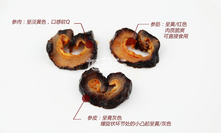 乌参