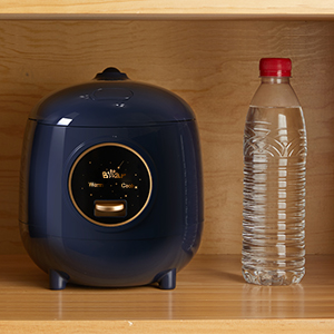 rice cooker small