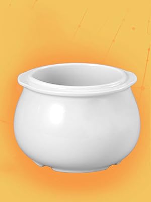 ceramic inner pot
