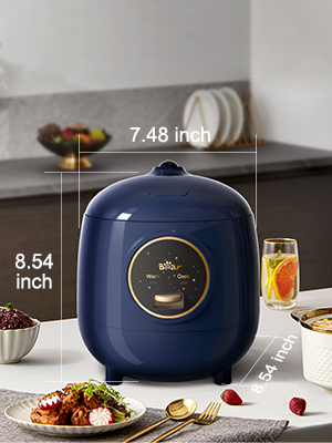 rice cooker small