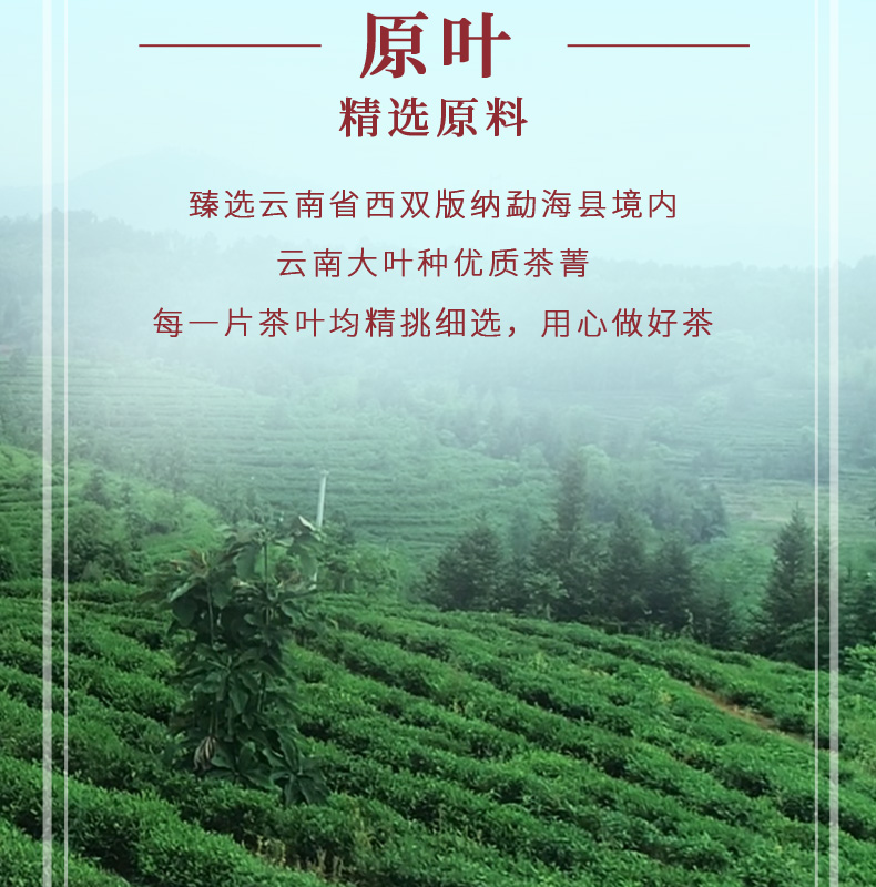 中茶 2020年 中国金鸡沱茶 云南普洱茶 熟茶紧压茶100g