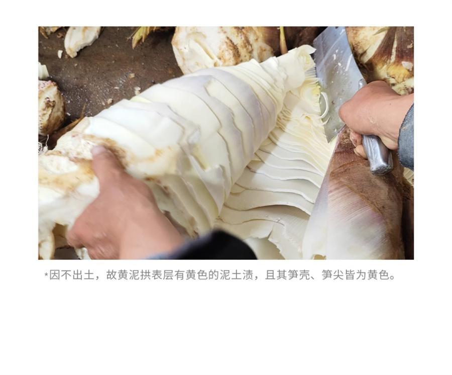 【中国直邮】 南食召 南式油焖笋 春笋上品黄泥拱·脆嫩肥甘 宁波奉化油焖笋270g/瓶
