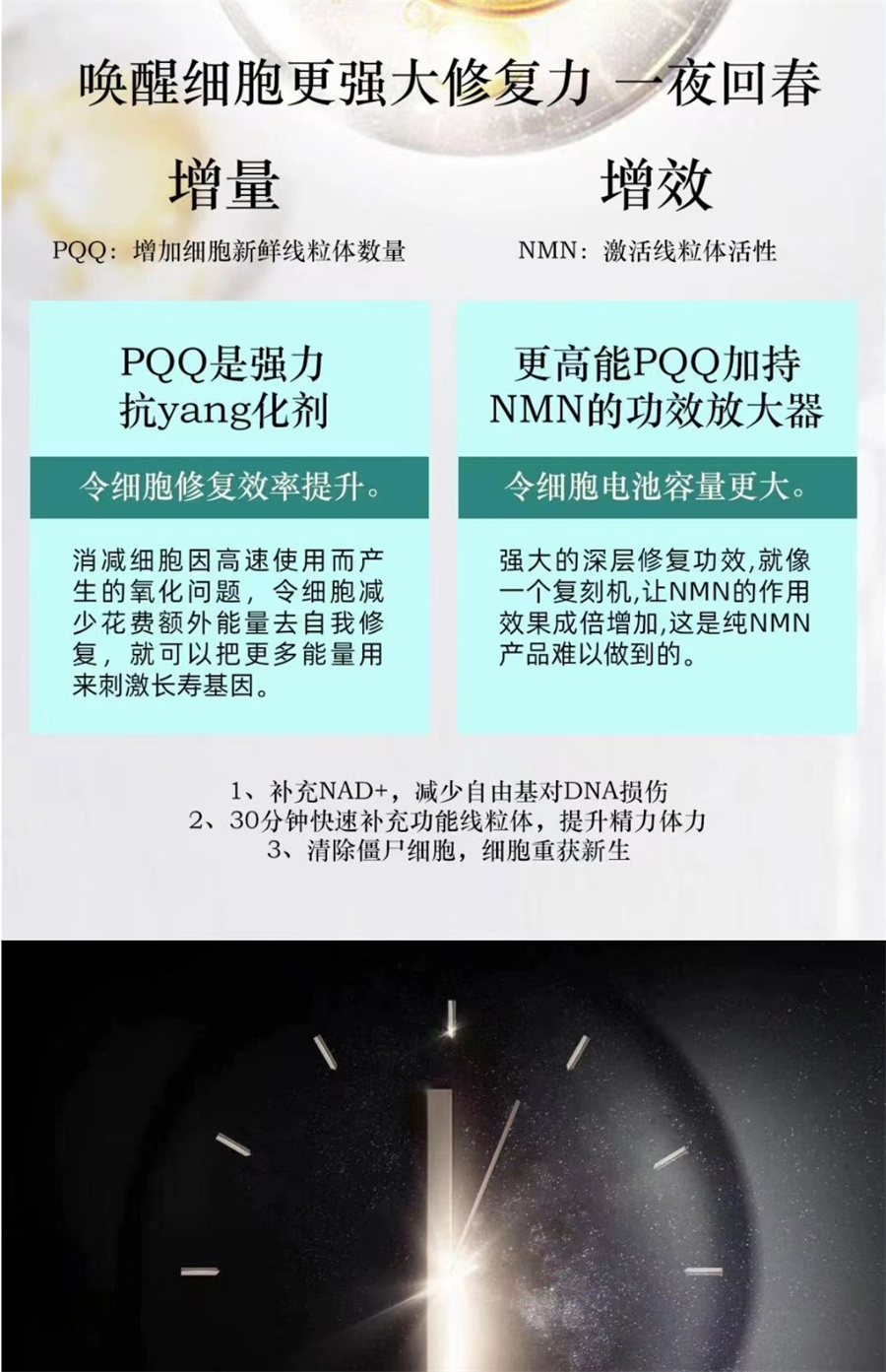 【赠品】日本Eterna 冲绳原料  高纯度99.9% NMN250mg/粒+PQQ+锌 60粒/瓶