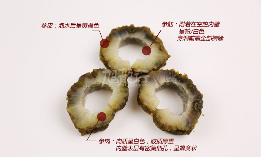 旭龍行南美智利荔枝參