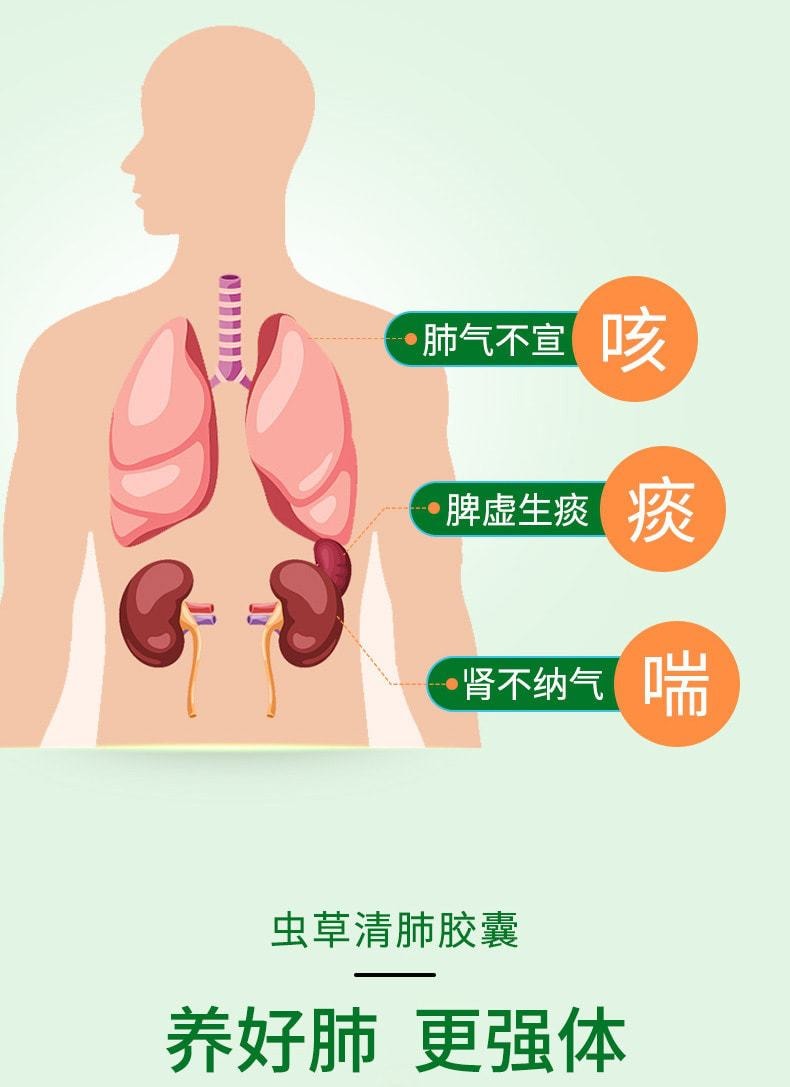 【中国直邮】中国药材 虫草清肺胶囊 清肺化痰止咳平喘咳嗽药24粒/盒