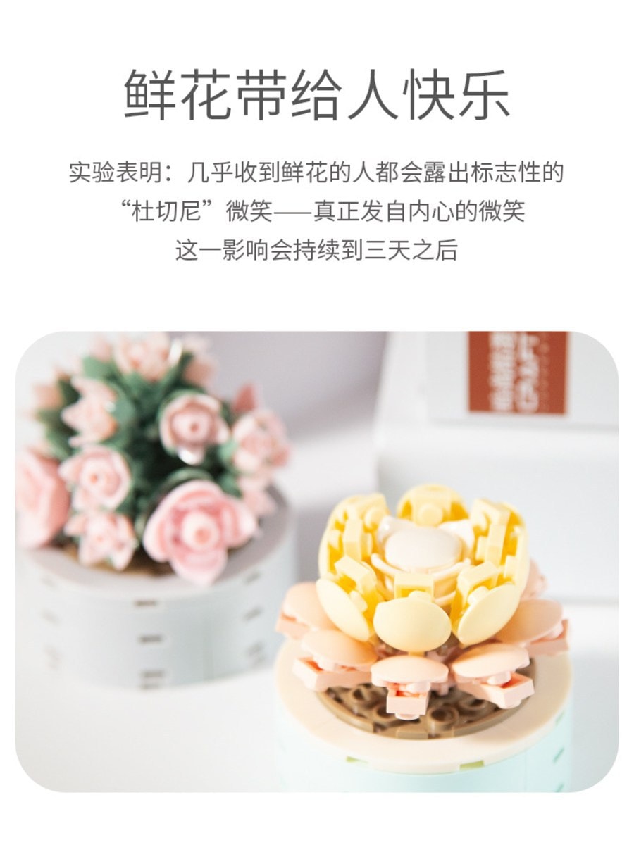 JAKI佳奇多肉积木 儿童拼装小颗粒 仿真花束盆栽 创意摆件玩具模型 醉梦天使 1盒