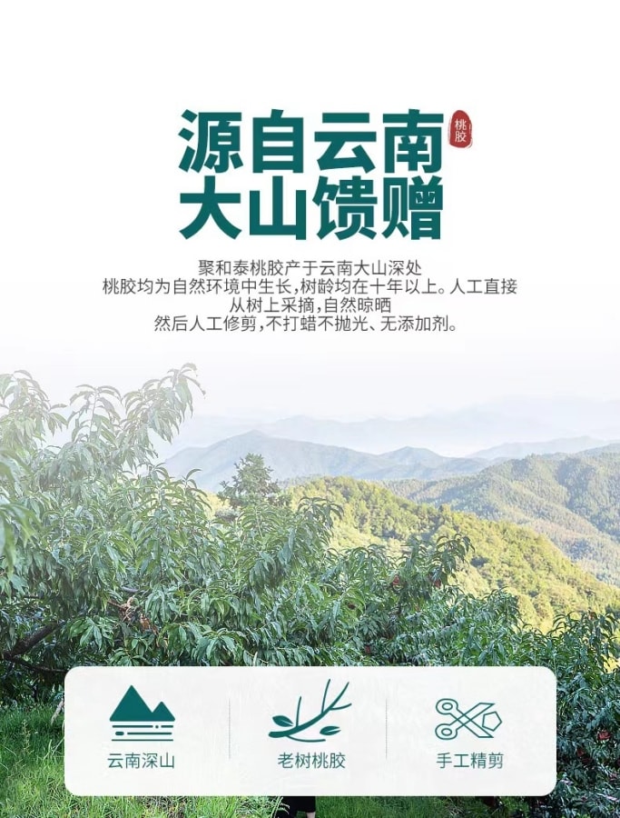 中國 南京同仁堂Nanjing Tongrentang桃膠 1瓶 220g 國貨品牌
