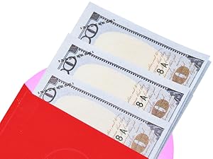 6 Patterns 36 Pcs Lunar New Year Red Envelopes 2026