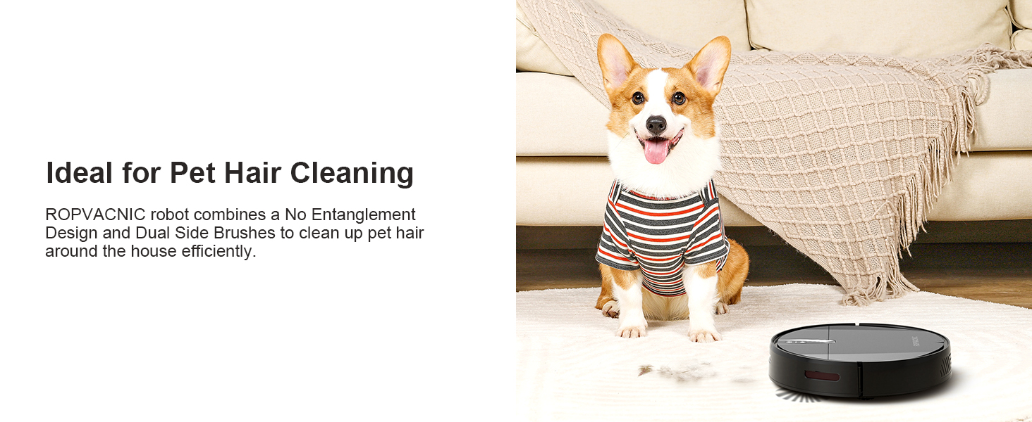 Ideal for Pet Hair