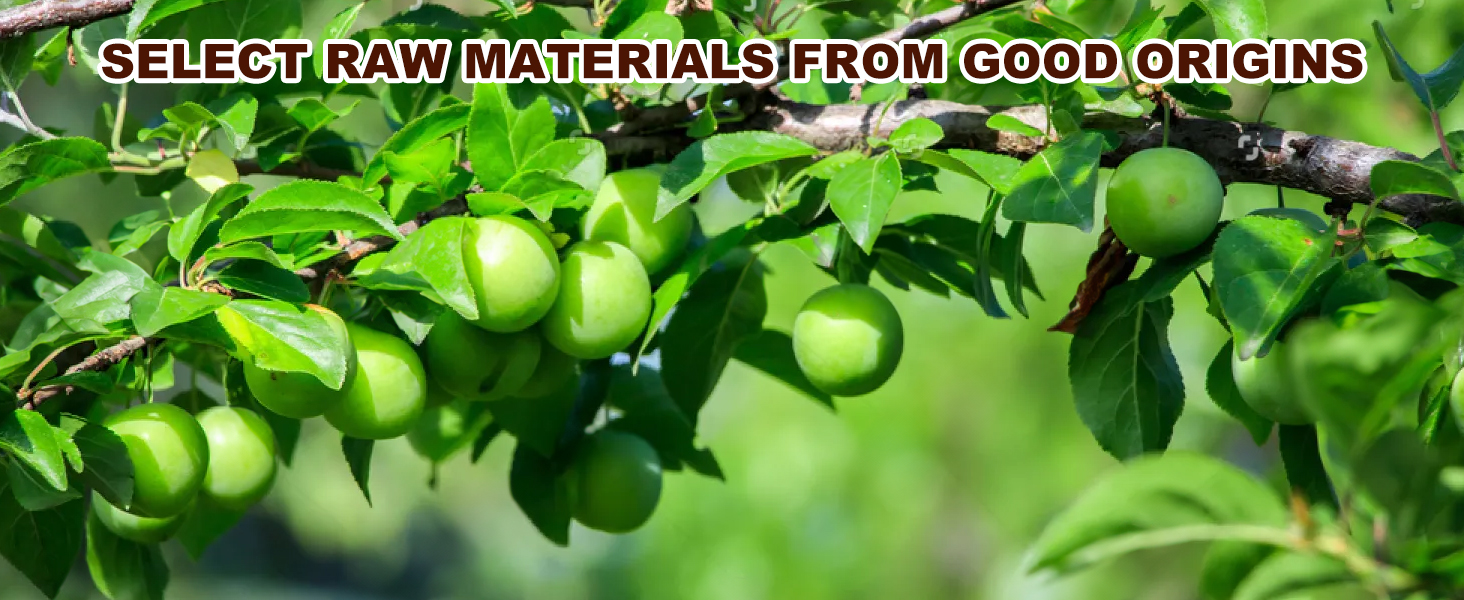 Fresh Plums Fruit