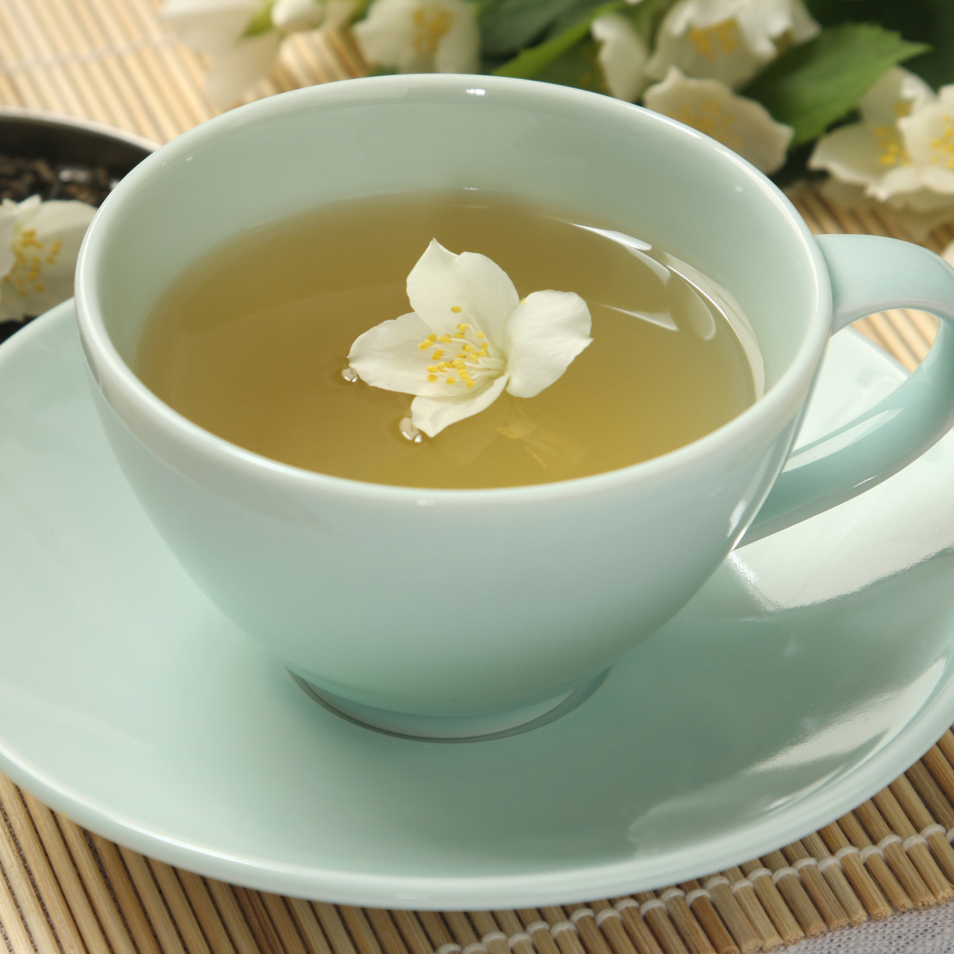 SPROUTING Chinese Jasmine Tea 100 Tea Sachets 7.05 Ounces (200 G)