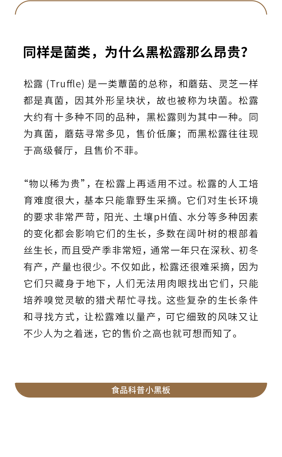 南食召【黑松露酱】最优等级 4倍含量·浓郁醇香 不加香精意大利面酱面包抹酱 200克 