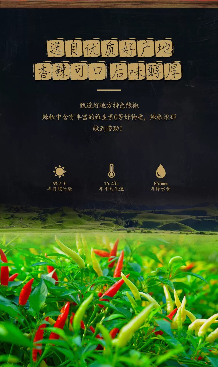 淘小生 油潑辣子紅油辣椒油 420 克 - Weee!