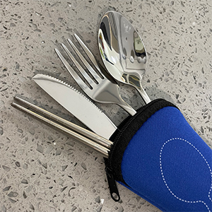 Travel Silverware Set With Case
