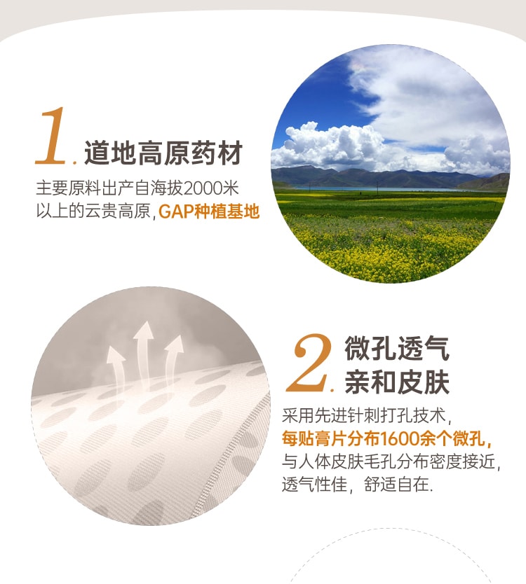 【中國直郵】雲南白藥  膏膏藥貼腰痛肩膀疼風溼頸椎跌打損傷活血腰肌消腫止痛   5貼/盒