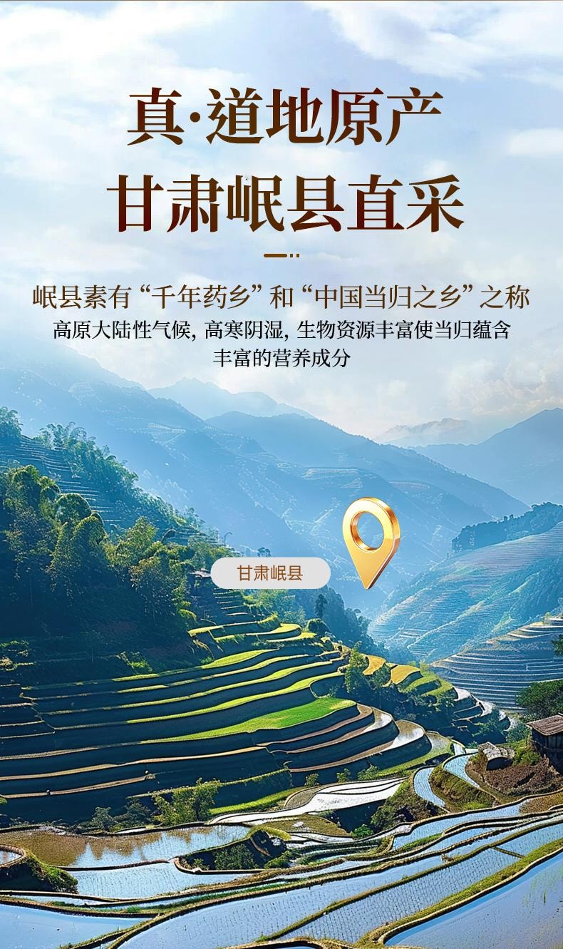 【本月特價】北京同仁堂當歸100g 無硫磺甘肅岷縣全當歸切片 補氣補血活血 月經不調 調經止痛 可搭配黨蔘黃芪中草藥材 同仁堂三百年道地品質 本月上新特價