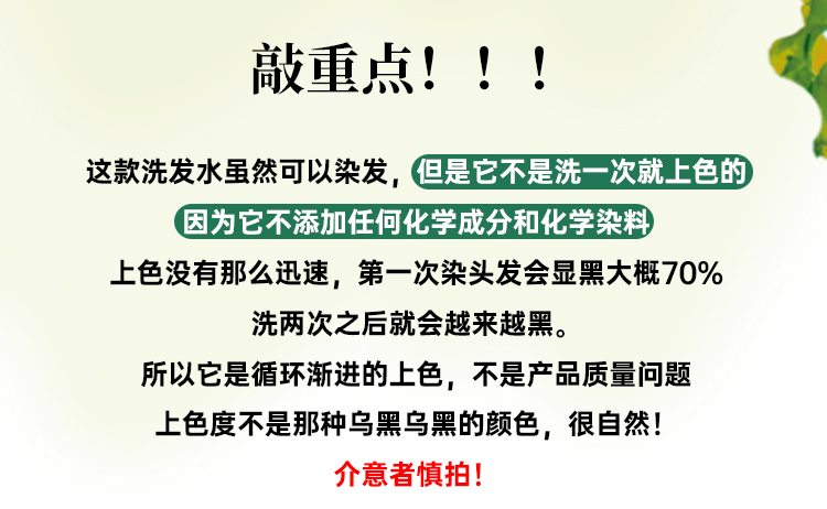 【日本直邮】日本 利尻昆布 无添加 植物染发洗发水 无硅油 黑色 洗染一体2合1 补色染发