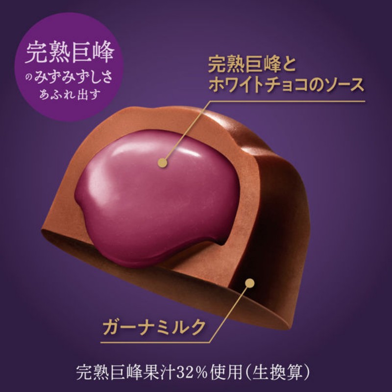 Limited time offer Ghana chocolate rich grape flavor sandwich 65g