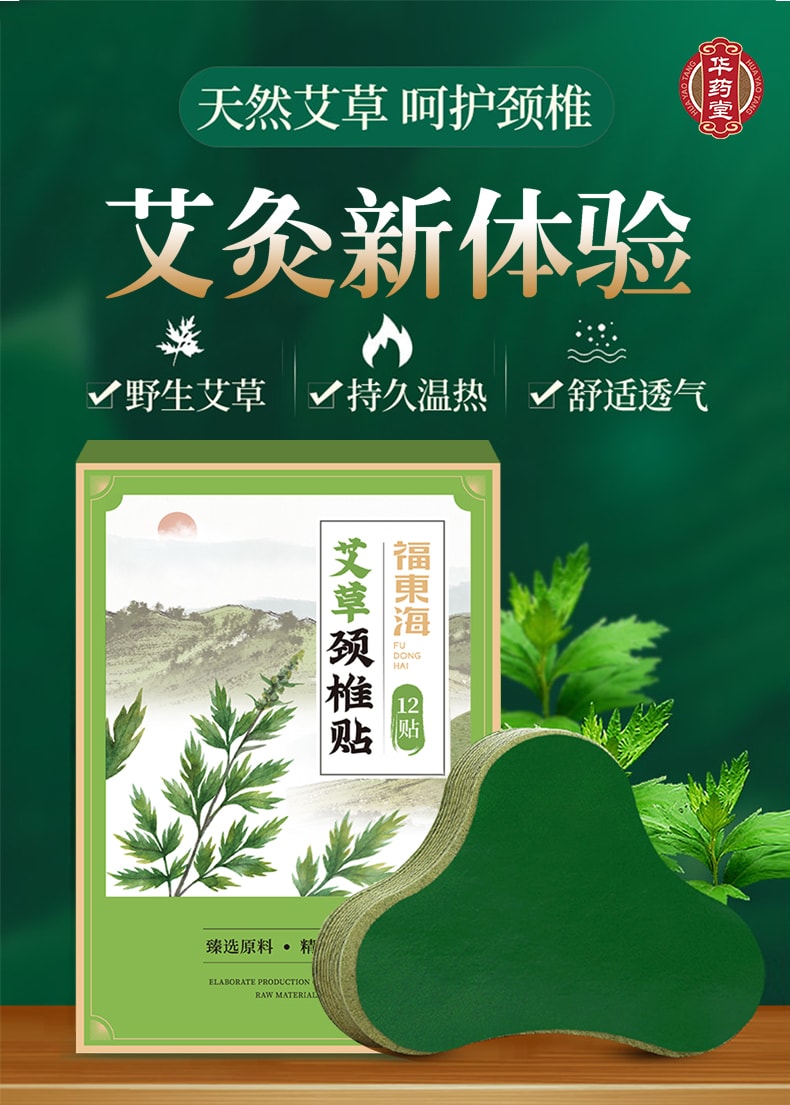 Common Wormwood Patch 12Patch*1box Weee!