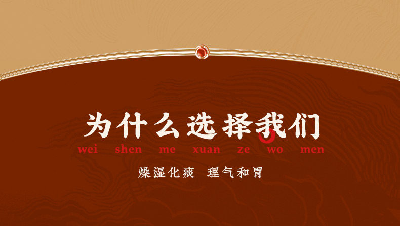 北京同仁堂 二陳丸  燥溼化痰 理氣和胃  12袋/盒