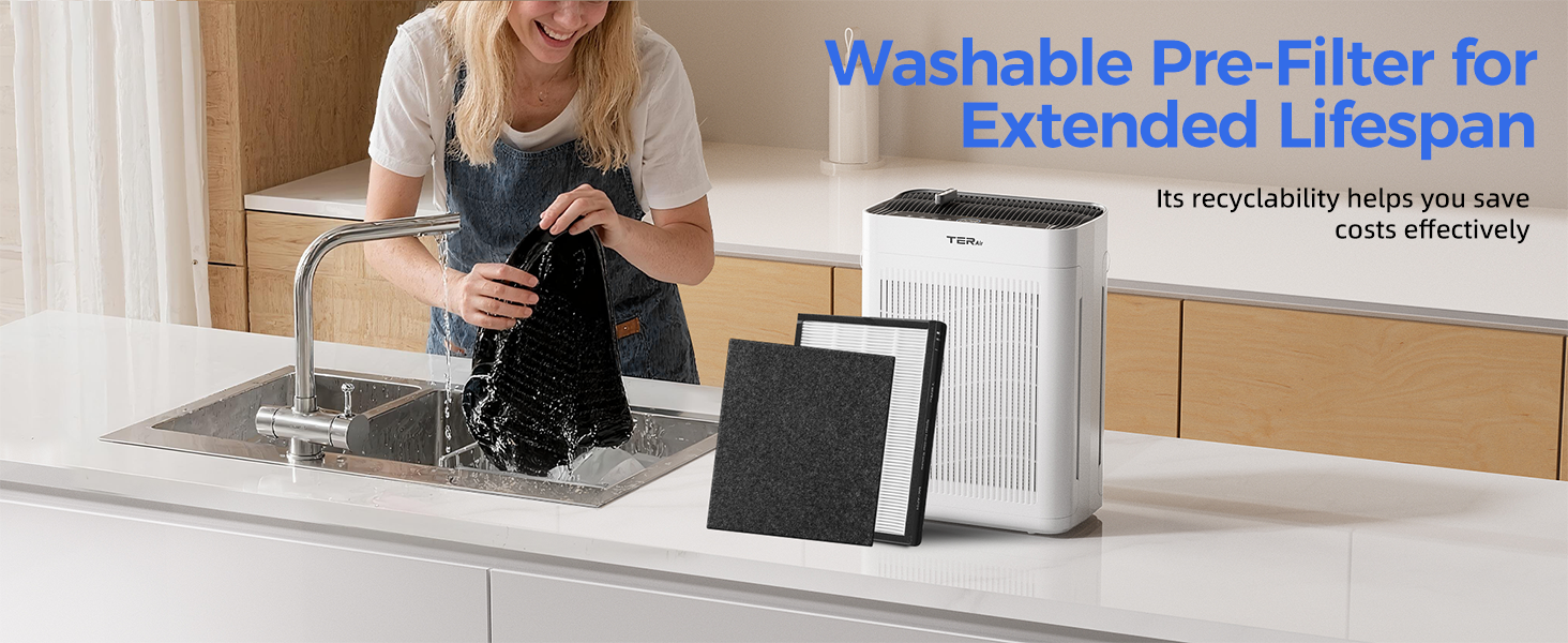 Air Purifiers for Home Large Room