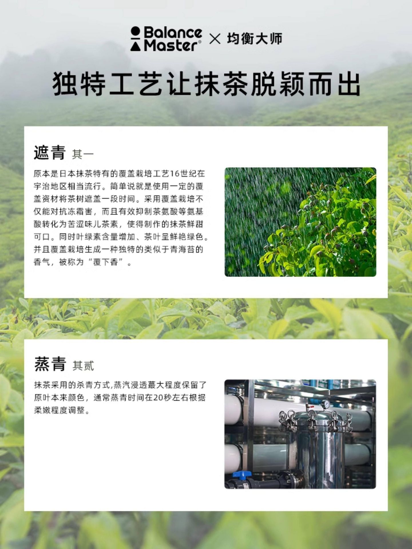 均衡大師 五十鈴 有機抹茶粉 30g【高於國標一級 茶道級薄茶 適合入門愛好者】【0添加】【適用直飲拿鐵烘焙甜品】