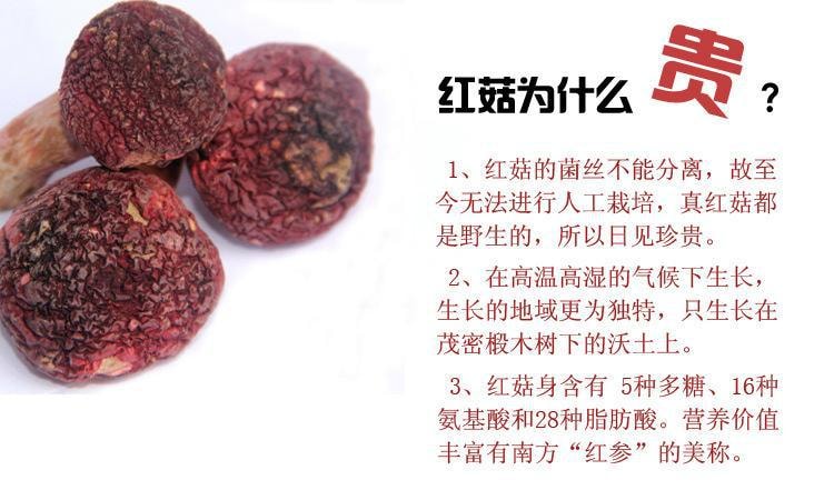 云南美味山珍 【野生红菇干品】 2OZ装