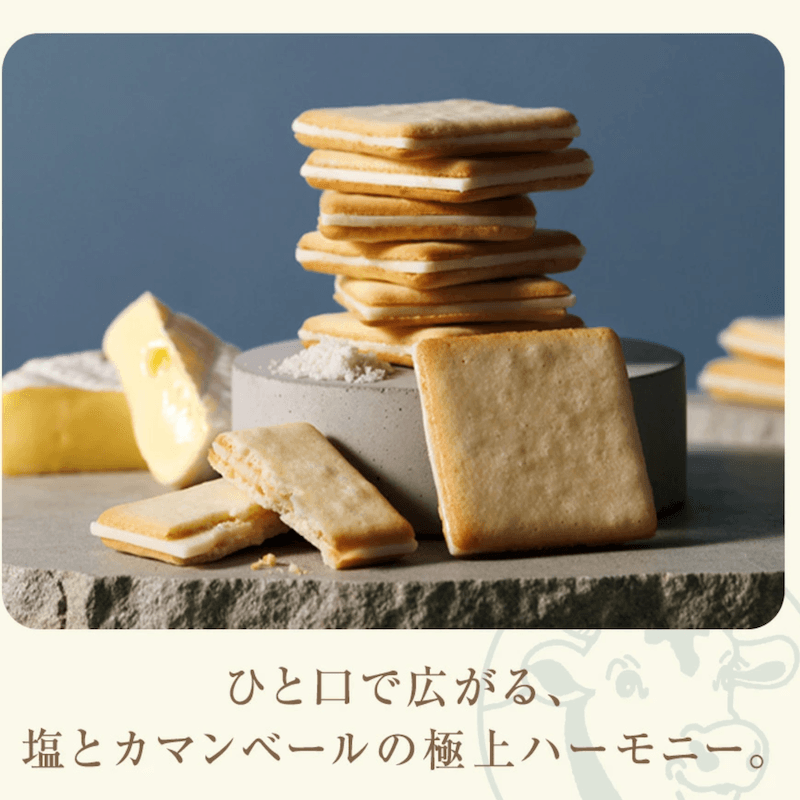 【日本直郵】 新款東京牛奶芝士工廠 海鹽卡芒貝爾乾酪餅乾 9枚裝