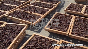 阿拉斯加紅參動圖 Alaska Sea Cucumber Factory