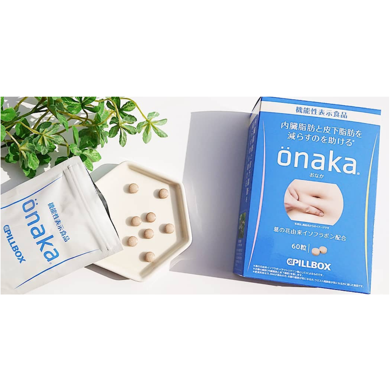 PILLBOX ONAKA Eliminate Abdominal Meat, Internal Fat, Zen Food Enzymes ...